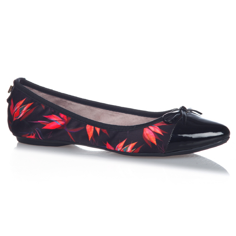 HOLLY-BLACK BIRDS OF PARADISE